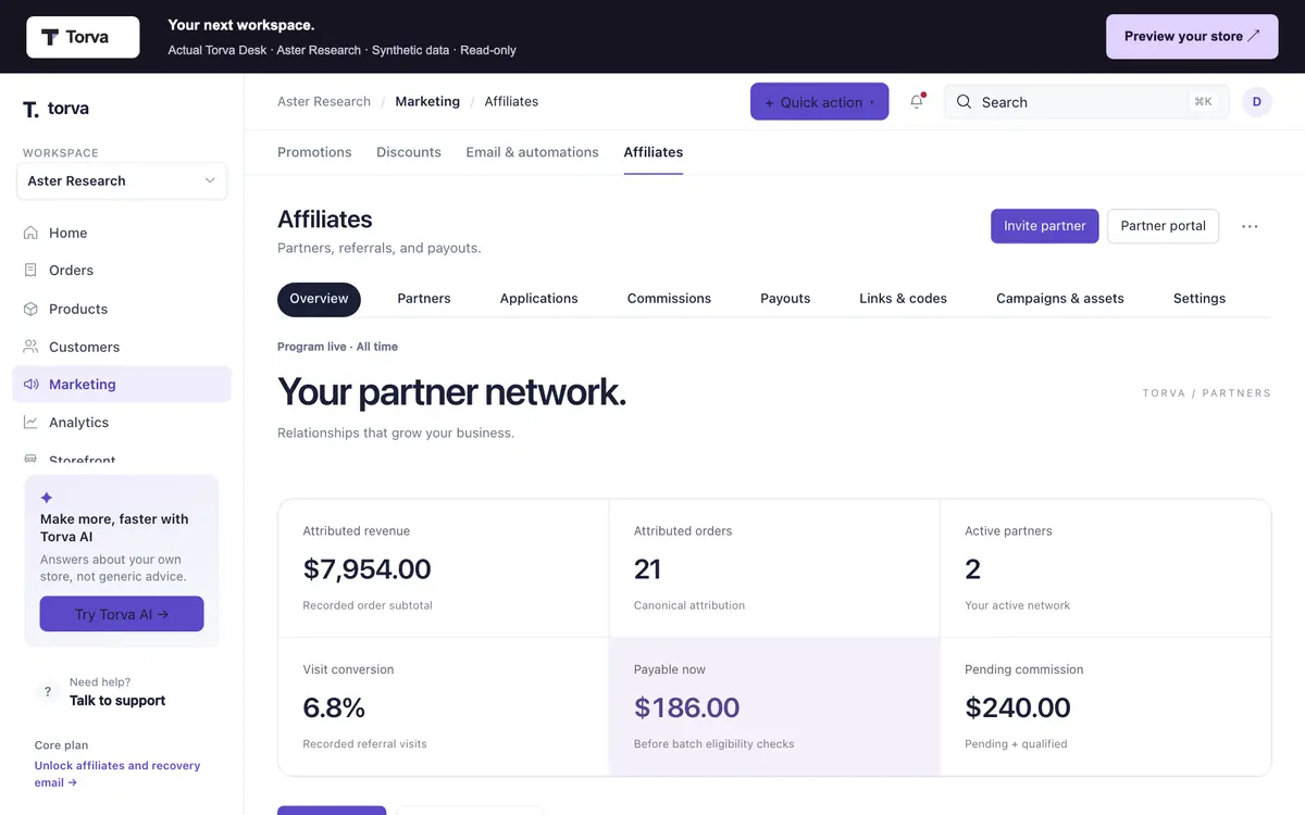 Torva affiliates for the demo store: partners, codes and commission